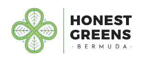 Honest Greens Bermuda