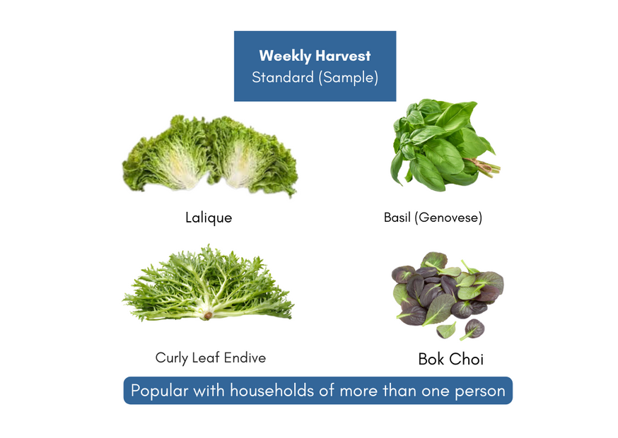 Weekly Harvest Standard for households of more than one person